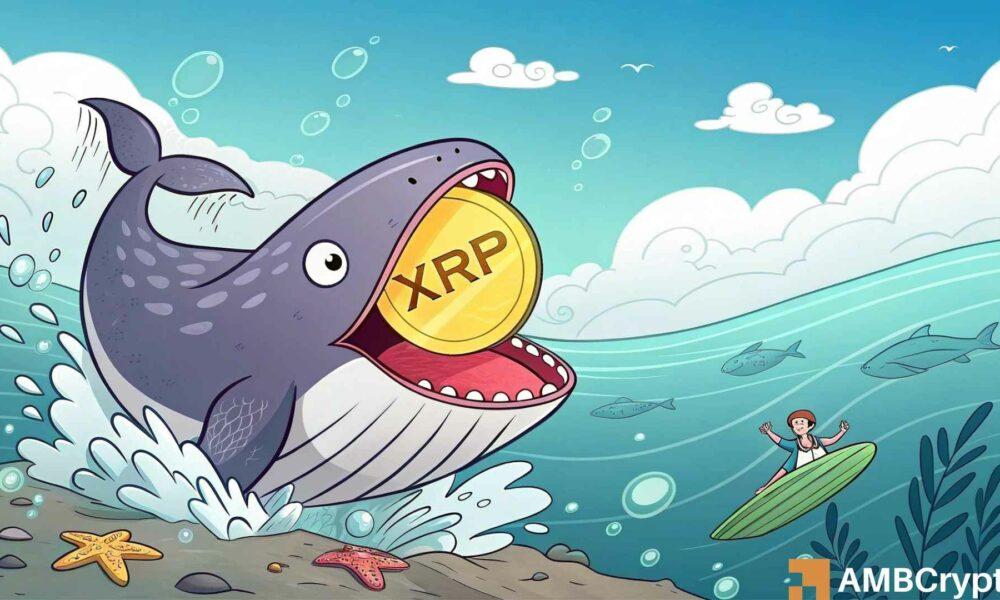 XRP打破看涨模式，山寨币下一个目标是4.50美元